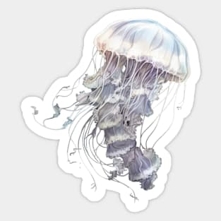 Jellyfish Sticker